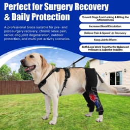 Dog Knee Brace ACL Support Hind Leg Adjustable for Arthritis Cruciate Injury gallery image 6