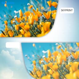 T09 Black Toner Cartridge High Yield Replacement for ImageCLASS X LBP1127 gallery image 5