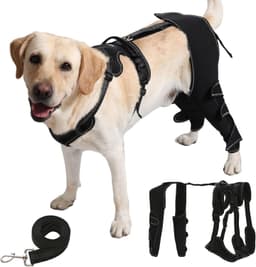 Dog Knee Brace ACL Support Hind Leg Adjustable for Arthritis Cruciate Injury gallery image 1
