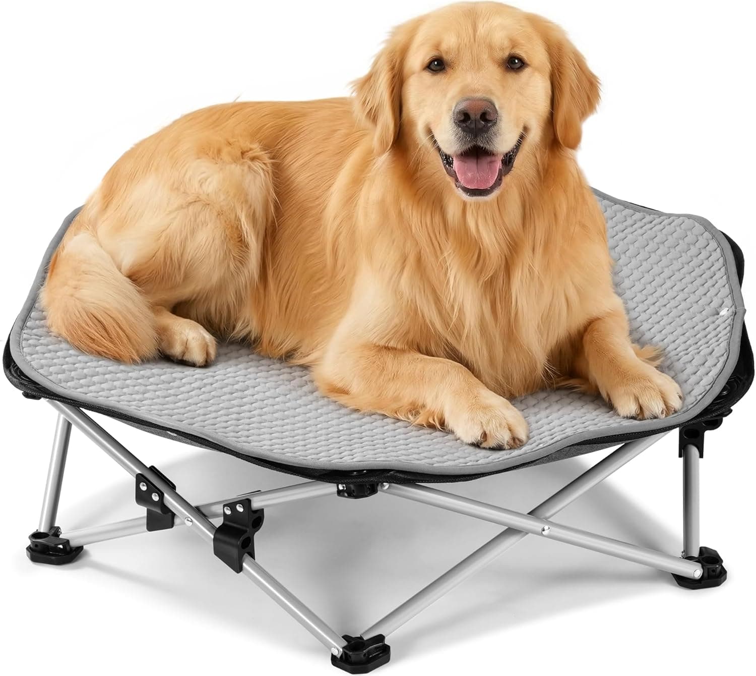 PRB-CM01 Beds Black Foldable Elevated Dog Bed Sturdy Wire Frame Portable Folding
