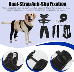 Dog Knee Brace ACL Support Hind Leg Adjustable for Arthritis Cruciate Injury gallery image 4