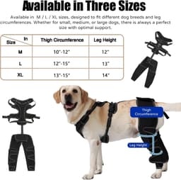 Dog Knee Brace ACL Support Hind Leg Adjustable for Arthritis Cruciate Injury gallery image 3